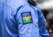 Police Arrest 49-Year-Old Over Alleged Stabbing Of Wife In Adamawa Police Arrest Three Over Alleged Gun Fabrication, Rape Case In Bauchi